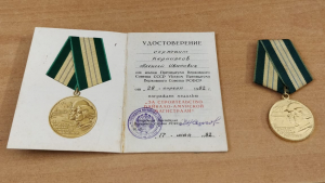 Елена Хмырова. "Где-то багульник на сопках цветёт&hellip;"