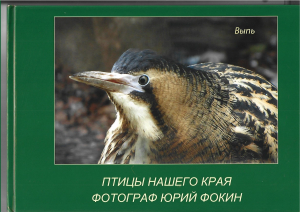 Фотокниги Юрия Фокина о птицах Воскресенского края читаем в разделе "Литература"